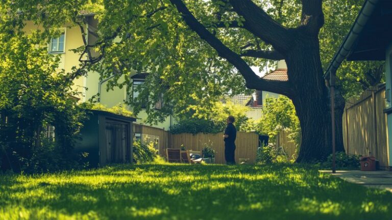 Baum auf Nachbars Grundstück: Was tun bei herüberragenden Ästen?